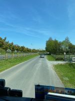 La Cambe: Friedenspark, Allee mit über 1.000 Bäumen