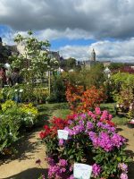 Stadtgarten mit Blumenmarkt 2