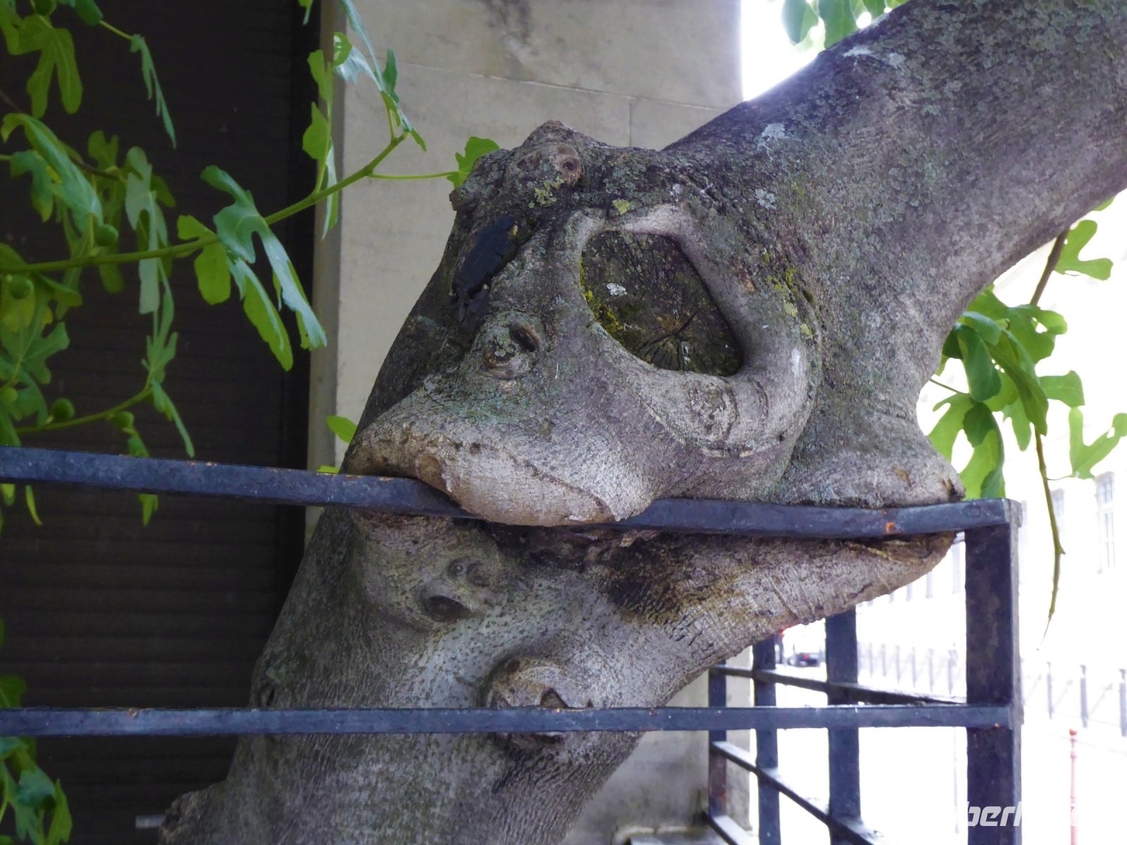 Tag 2 Stadterkundung im Marais 