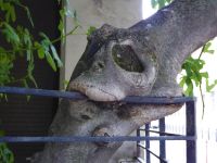 Tag 2 Stadterkundung im Marais 