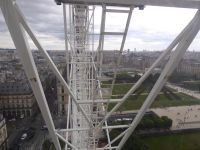 Tag 3 Jardin des Tuileries