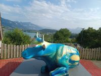 Anreise in die Schweiz