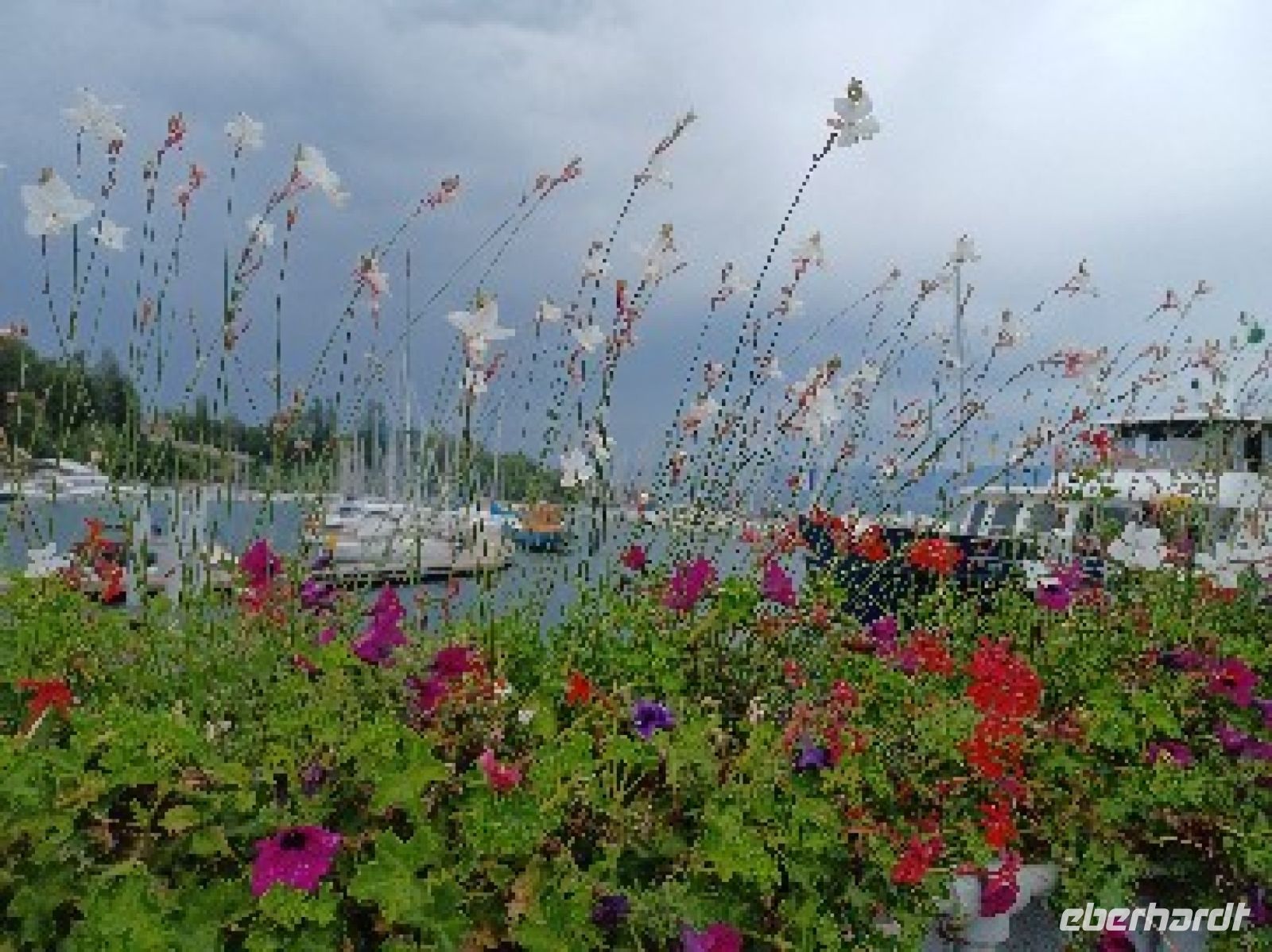 Yvoire - Blick über den Yachthafen auf den Genfer See