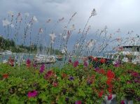Yvoire - Blick über den Yachthafen auf den Genfer See