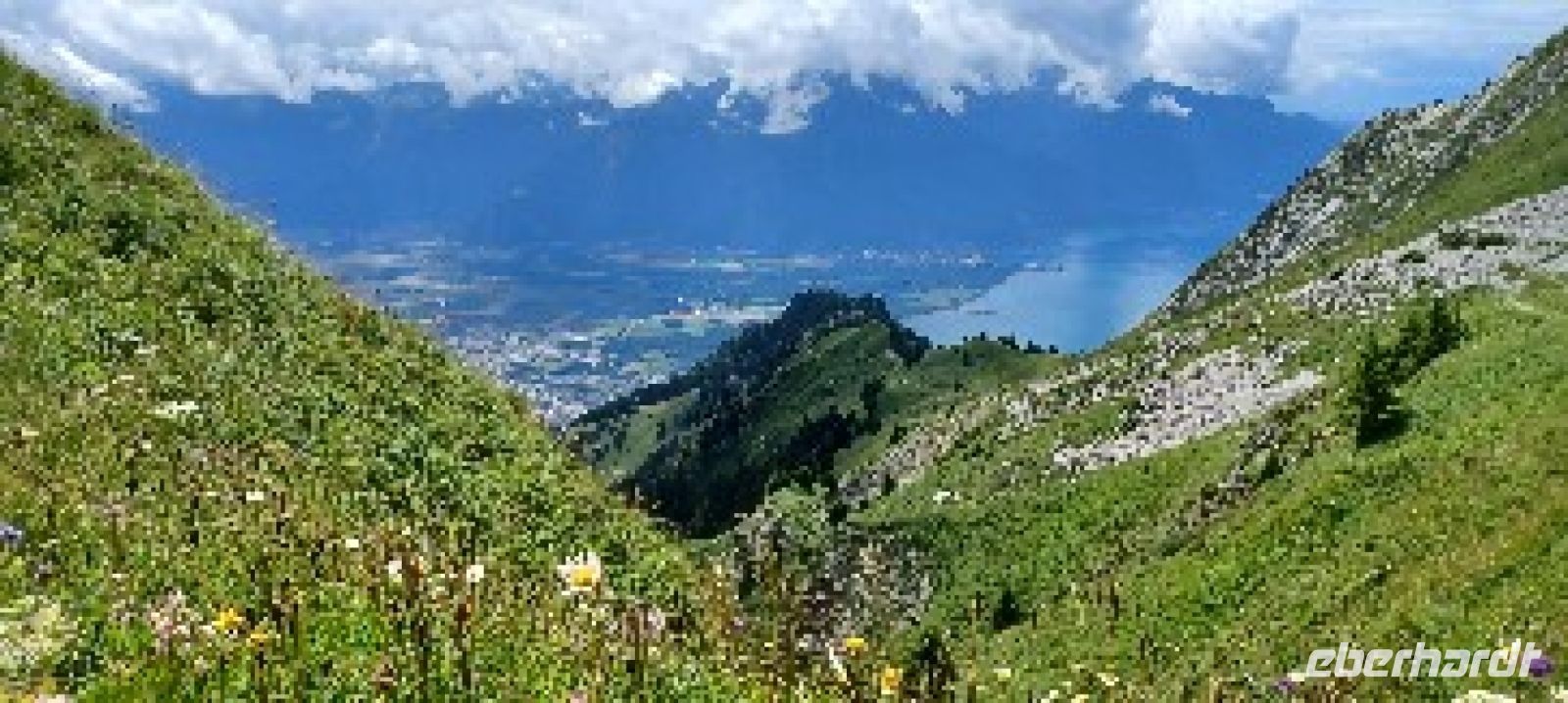 Blick vom Rochers de Naye