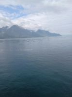 Still ruht der Genfer See