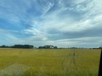 auf dem Weg nach Fécamp