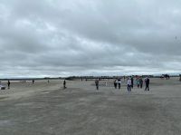 auf dem Weg zurück an Land