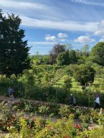 Blick aus Claude Monets erstem Stock