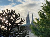 Blick aus dem Zimmer mit Araukarie und Kathedrale am Morgen