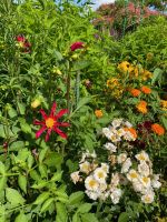 rote Dahlien, weiße Büschelrosen, orange Stundentenblumen u. v. a. m. 