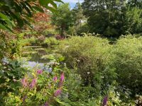 Der berühmte Seerosenteich