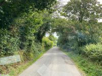 Heiko bringt uns sicher über die schönsten Landstraßen