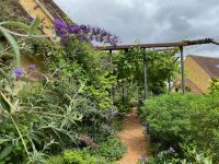 Idyll in blauviolett