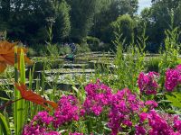 Idylle mit Gärtner im Kahn und hohem Stauden-Phlox
