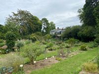 Kräutergarten im Park