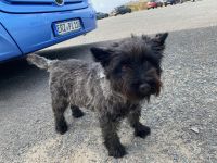 Odette ist uns bis hierher nachgelaufen <3