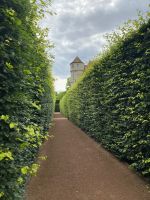 Perspektive im Garten