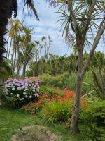 Tropenparadies dank Golfstrom