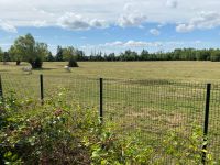 Wiese am Rande des Seerosengartens