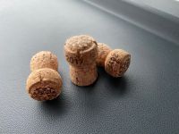 Überraschung bei der Fahrt durch die Champagne ;-)