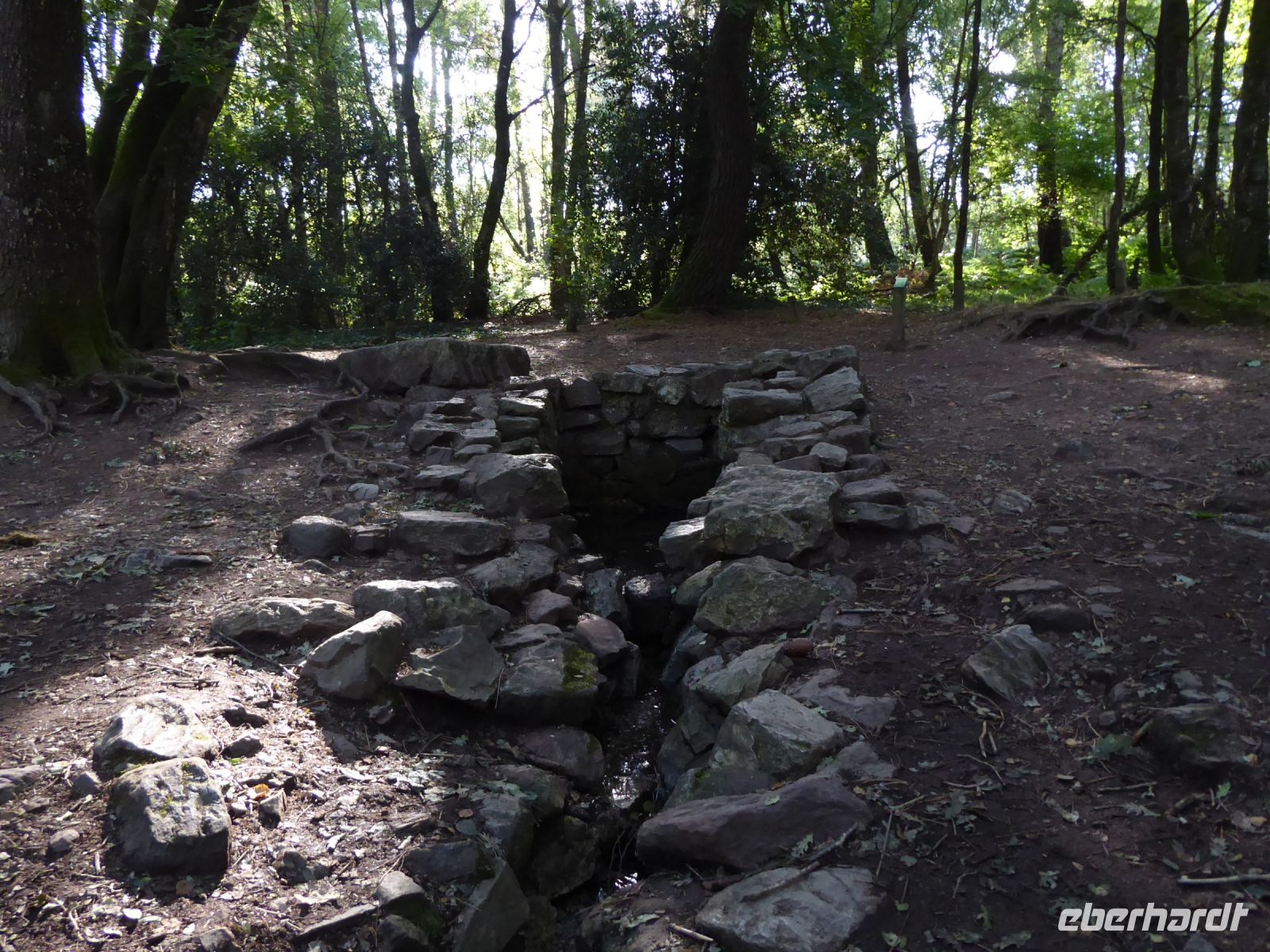 Tag 3 07.08.2023 Wanderung im Wald Brocéliande