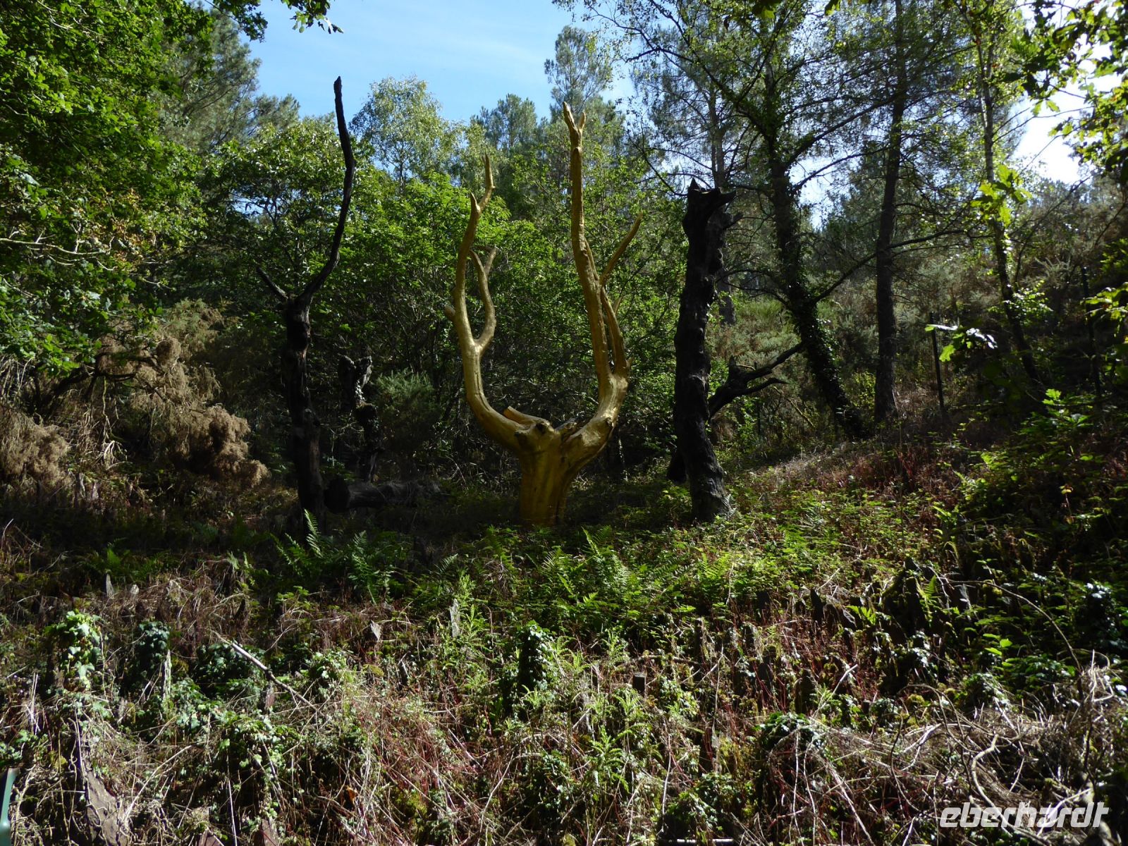 Tag 3 07.08.2023 Der goldene Baum, Kunstwerk von Francois Davin