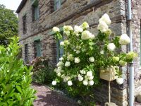 Tag 3 07.08.2023 Entdeckungen in Paimpont