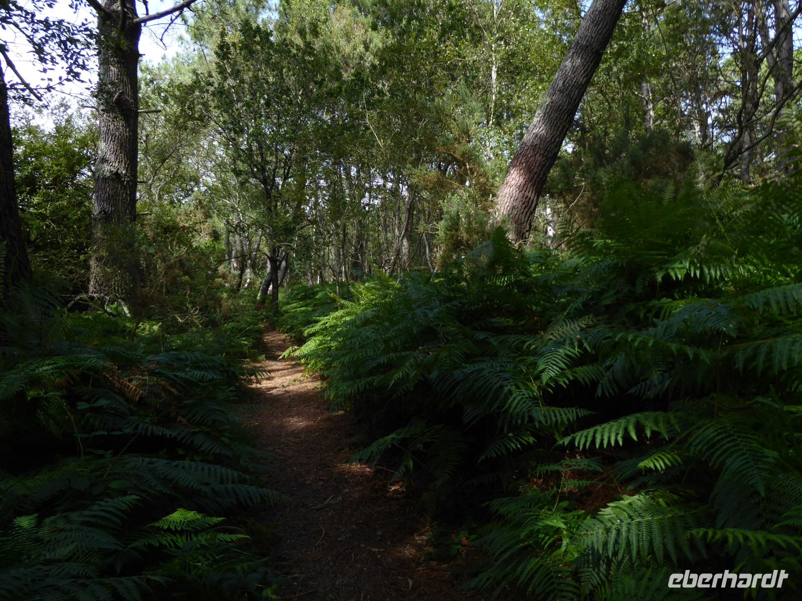 Tag 4 08.08.2023 Wanderung von Crucuno nach Erdeven