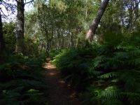 Tag 4 08.08.2023 Wanderung von Crucuno nach Erdeven