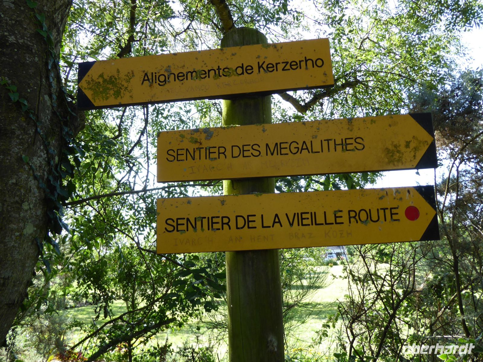 Tag 4 08.08.2023 Wanderung von Crucuno nach Erdeven