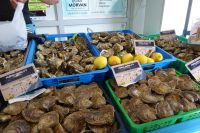 Tag 5 09.08.2023 Stadtbummel in Concarneau, Markthalle