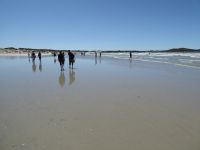 Tag 5 09.08.2023 Strandwanderung Penmarch