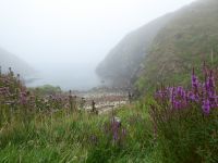 Tag 6 10.08.2023 Wanderung zur Pointe du Raz