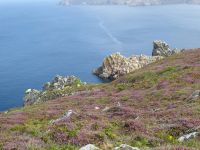 Tag 6 10.08.2023 Wanderung zur Pointe du Raz