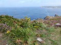Tag 6 10.08.2023 Wanderung Pointe du Raz