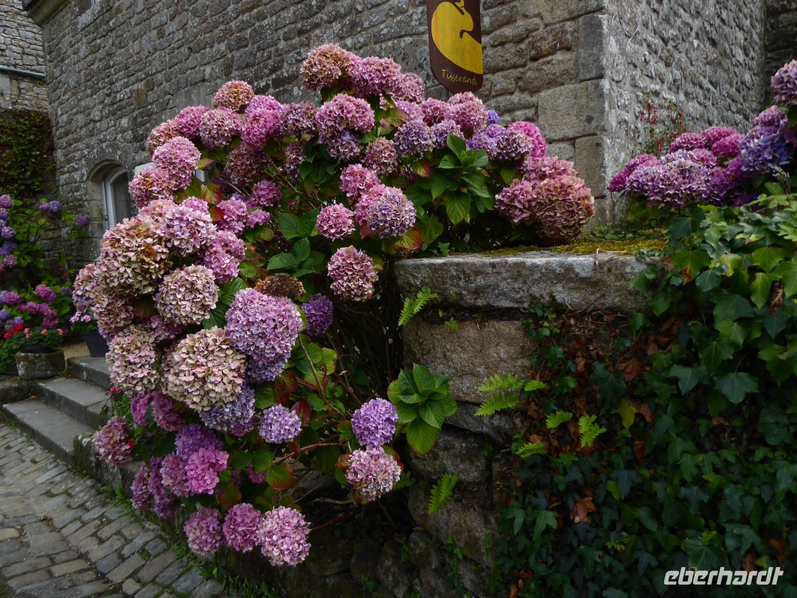 Tag 6 10.08.2023 Entdeckerspaziergang in Locronan