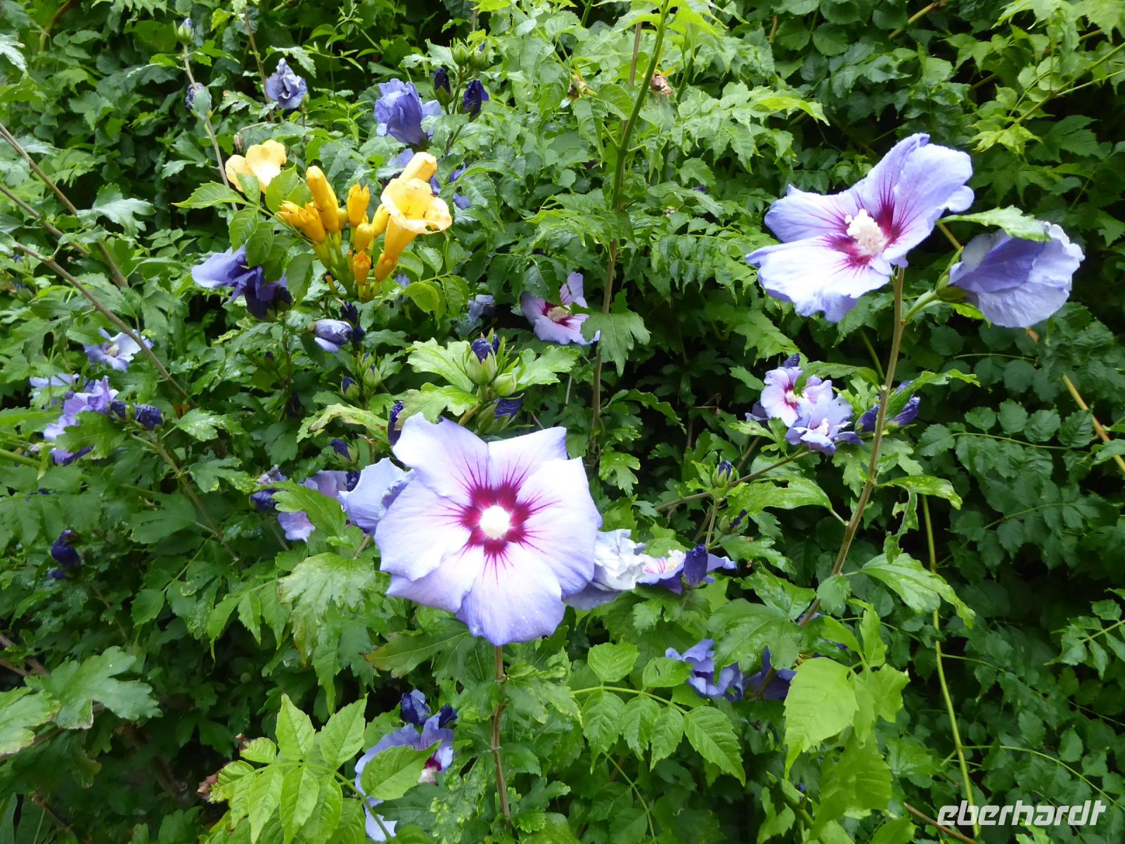 Tag 7 11.08.2023 Stadtführung in Quimper, Parc de la Paix