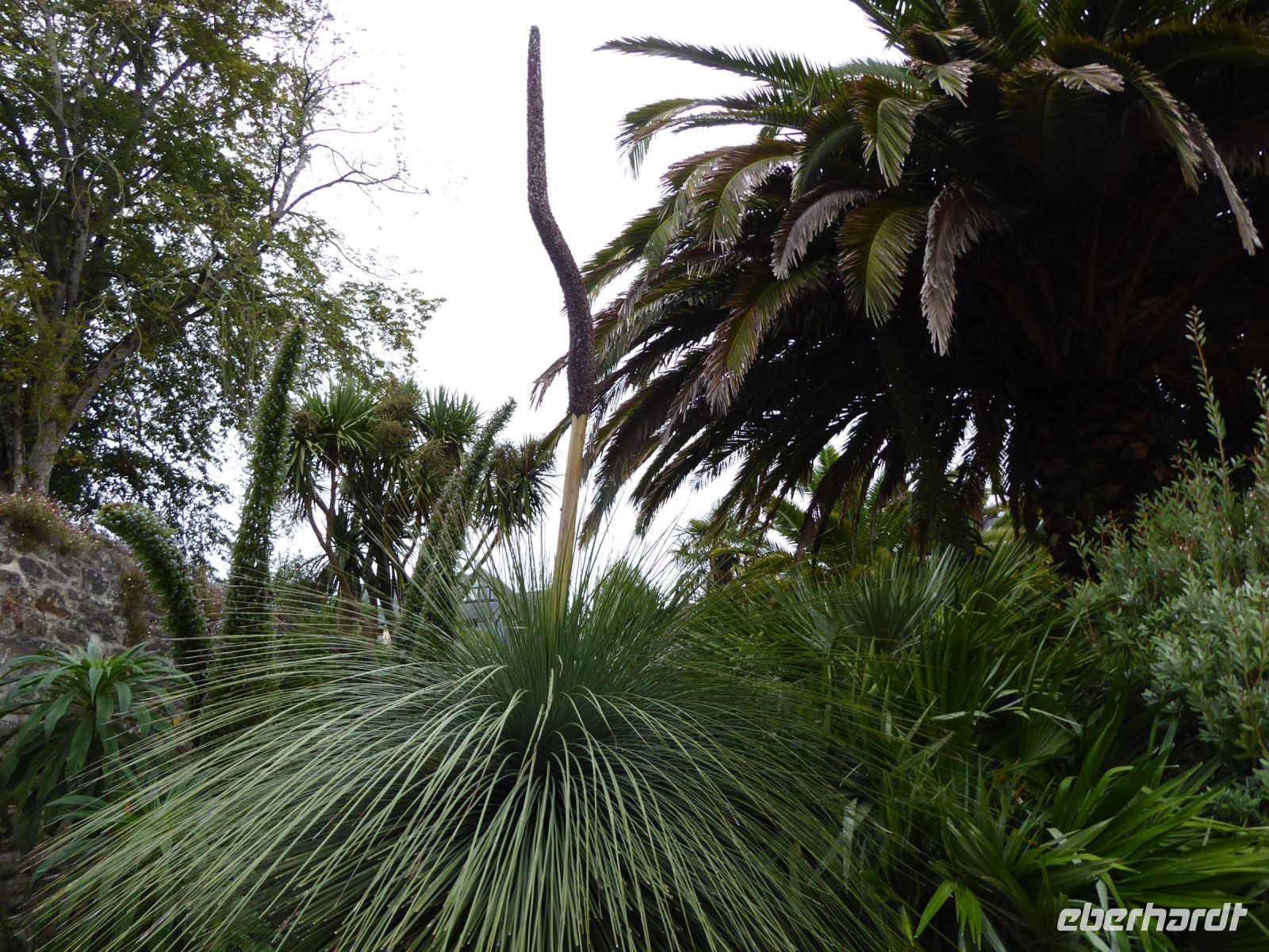 Tag 7 11.08.2023 Stadtführung in Quimper, Parc de la Paix, 