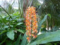 Tag 7 11.08.2023 Stadtführung in Quimper, Parc de la Paix, Schmetterlingsingwer