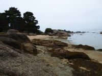 Tag 7 11.08.2023 Wanderung auf der Halbinsel Renote