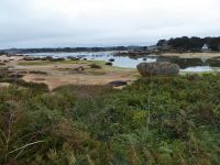 Tag 7 11.08.2023 Wanderung auf der Halbinsel Renote