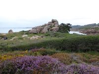 Tag 8 12.08.2023 Wanderung, Rosa Granitküste nach Trestraou