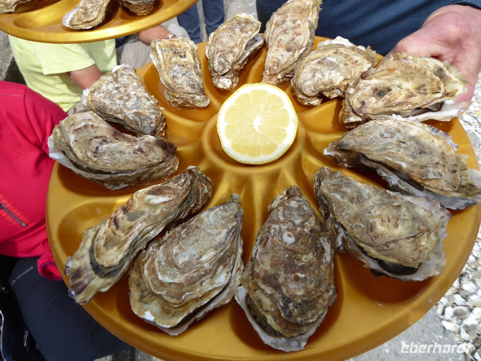 Tag 9 13.08.2023 Austernverkostung in Cancale