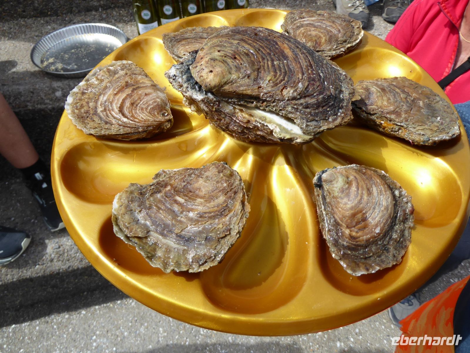 Tag 9 13.08.2023 Austernverkostung in Cancale
