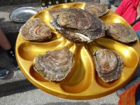 Tag 9 13.08.2023 Austernverkostung in Cancale