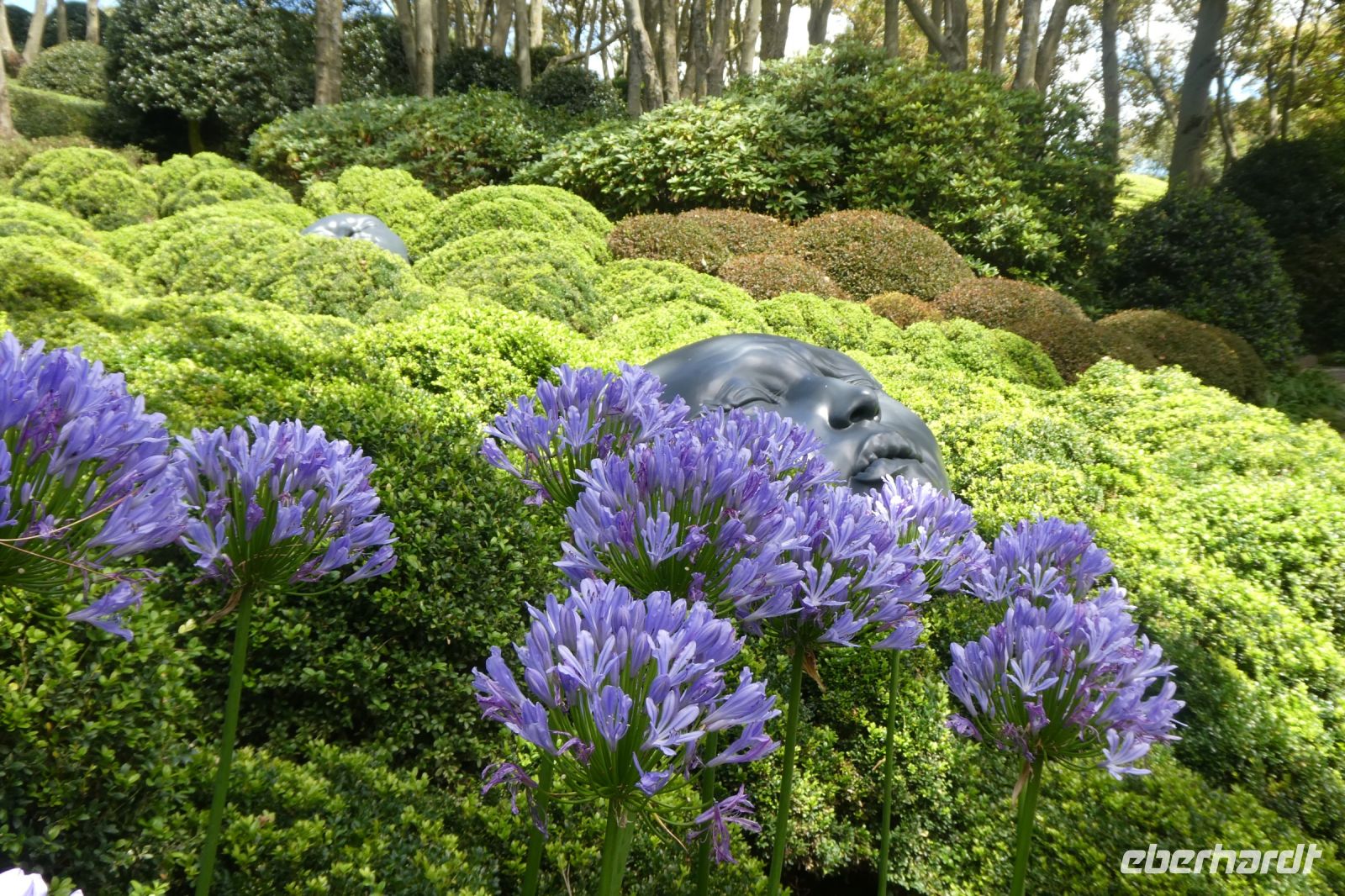 Sträucher, Blumen und Kunst