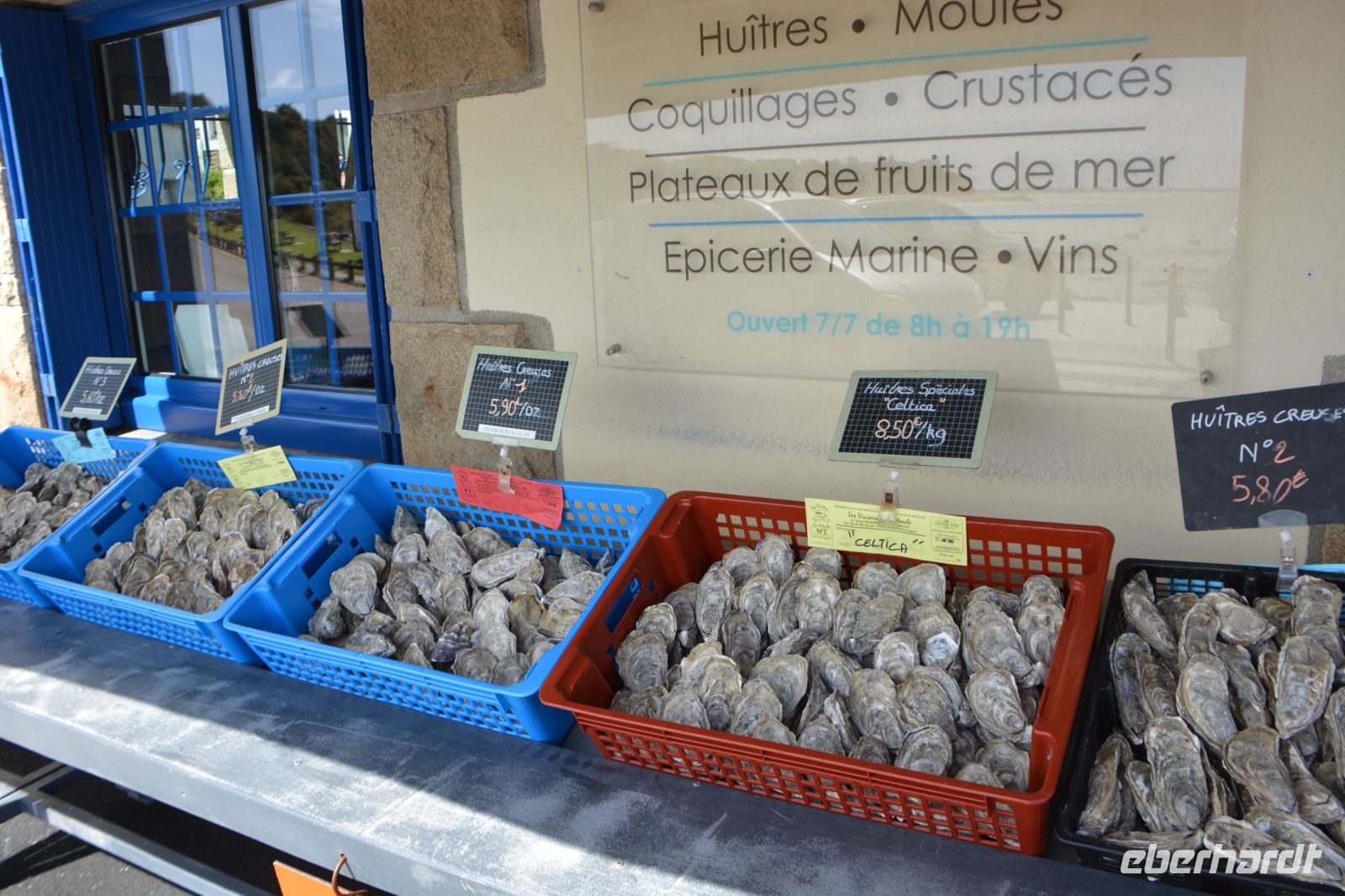 Austern aller Qualitäten