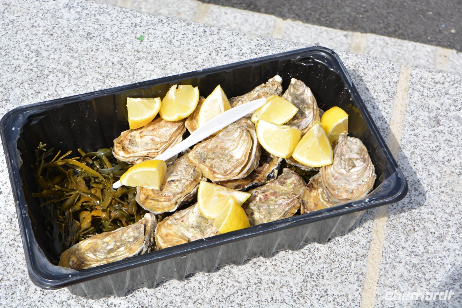 leckere Austern mit Zitrone
