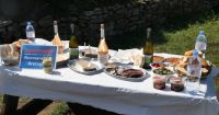 Picknick am Point du Raz